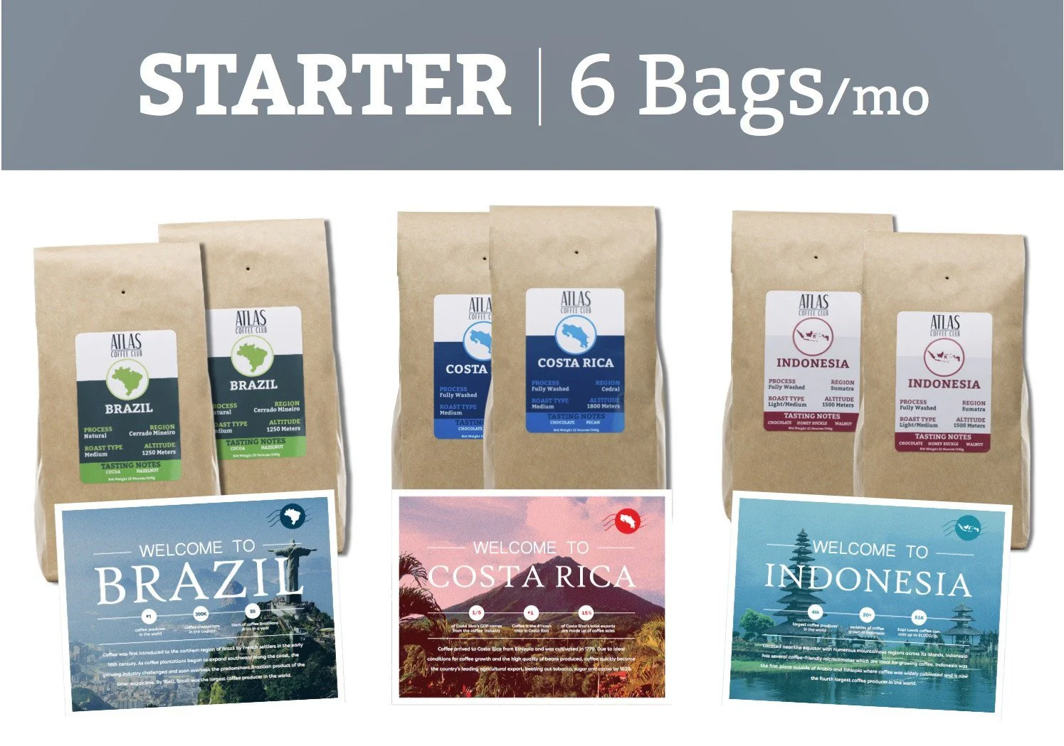 STARTER | 4 x 12oz bags/mo - Image 2